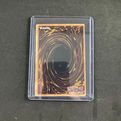 Black Rose Dragon (UTR) CSOC-EN039 Crossroads of Chaos Unlimited Near Mint - Image 4