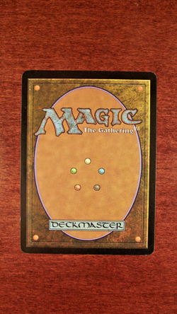 FOIL Kashi-Tribe Elite - LP Lightly Played Saviors of Kamigawa English MTG Magic - Image 2