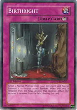 Birthright - SDWS-EN037 - Common - 1st Edition - Lightly Played - Image 1