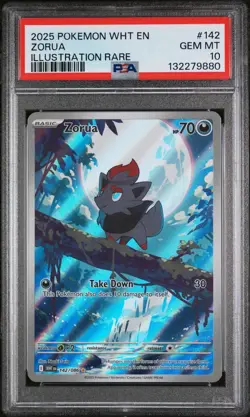 2025 Pokemon TCG—Zorua #142 White Flare—Illustration Rare Foil PSA 10 - Image 1