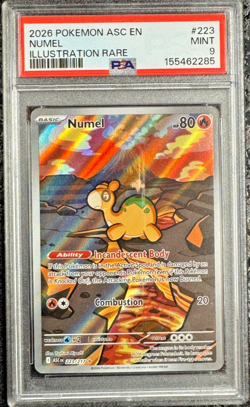 2026 POKEMON ASC EN NUMEL ILLUSTRATION RARE #223 💎 PSA 9 - Image 1