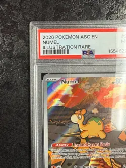 2026 POKEMON ASC EN NUMEL ILLUSTRATION RARE #223 💎 PSA 9 - Image 3