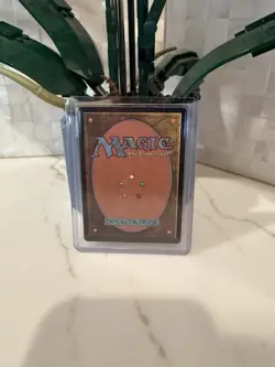 Magic: The Gathering Borderless Alt Art Hallowed Fountain NM RVR - Image 2