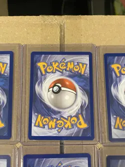 Pokemon First Partner Illustration 30th Collection Complete Promo Set 9 Cards - Image 3