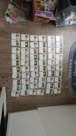 Huge Lot of 60 Chinese Pokemon Eevee TCG Cards Bulk Near Mint! CG08 CG08 - Image 1