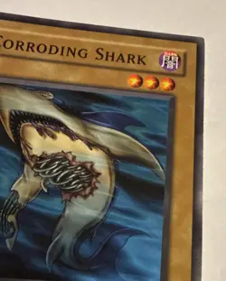 Yu-Gi-Oh The Corroding Shark TP1-020 Tournament Pack 1 Common - Image 5