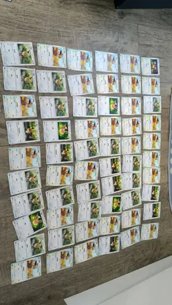 Huge Lot of 60 Chinese Pokemon Eevee TCG Cards Bulk Near Mint! CG08 - Image 1