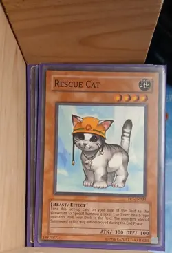 Rescue Cat FET-EN033 Flaming Eternity Unlimited|Unlimited Edition - Image 1