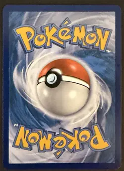 2016 Gyarados XY109 Black Star Promo Pokemon Card Cosmo Holo Rare Shiny - VLP - Image 3