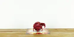 BAKUGAN B1 Pyrus TERRORCLAW 250G Classic Mini Spin Master/Sega Toys - Image 2