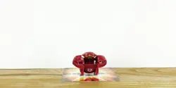 BAKUGAN B1 Pyrus TERRORCLAW 250G Classic Mini Spin Master/Sega Toys - Image 3