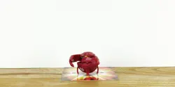 BAKUGAN B1 Pyrus TERRORCLAW 250G Classic Mini Spin Master/Sega Toys - Image 4