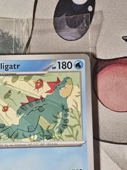 Pokemon Day 2025 Promo Illustration Contest 2024 Promo SEALED Feraligatr Pikachu - Image 4