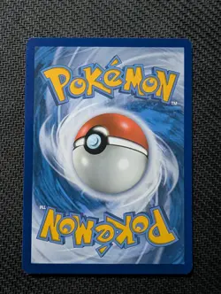Phanpy 111/214 Common Lost Thunder Pokemon Near Mint - Image 2