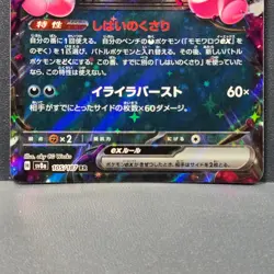 Pecharunt ex RR 105/187 SV8a Terastal Fest ex 2024 Pokemon Card Japanese NM - Image 3