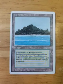 Tropical Island - Revised Regular Rare LP - Image 1