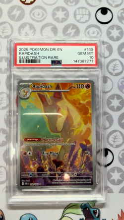 POKEMON 2025 Destined Rivals Illustration Rare RAPIDASH #189 PSA 10 Gem Mint - Image 2