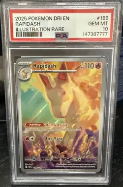 POKEMON 2025 Destined Rivals Illustration Rare RAPIDASH #189 PSA 10 Gem Mint - Image 4