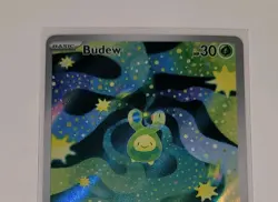 Budew 221/217 Illustration Rare | Ascended Heroes Full Art Holo Pokemon Card NM - Image 4