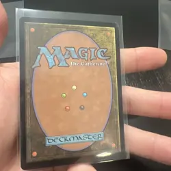 Season of the Burrow - Borderless - Bloomburrow -MTG - NM - Image 2
