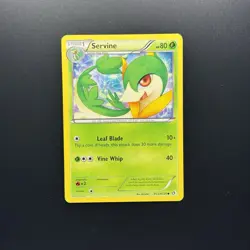 Servine RC2/RC25 Legendary Treasures: Radiant Collection Pokemon TCG NM Holo - Image 1