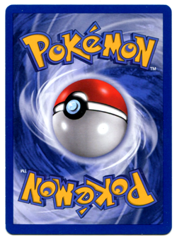 1999 Pokemon Base Set Capuce (Squirtle ) French 1st Edition 63/102 NM - Image 2