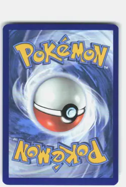 Water Holo Wailord - 162/159/JTG SV09: Journey Together NM Pokemon Card - Image 2