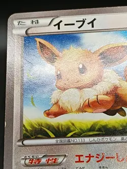 Eevee 075/096 XY3 Furious Fists Rising Fist Japanese Pokemon Card A46 - Image 4