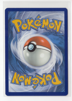 Pokemon TCG Hawlucha 007 Black Star Promo Scarlet & Violet Pre Release Nm - Image 2