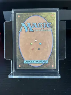 Ancient Cornucopia (Extended Art) #81 - Mythic - MTG OTJ: the Big Score Regular - Image 2