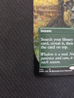 Worldly Tutor 442 R Borderless DMR MTG - Image 4
