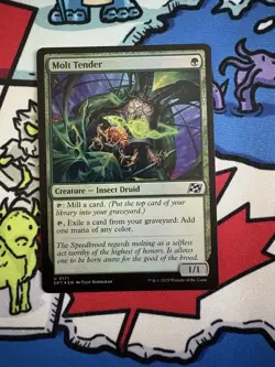 Molt Tender x1 Mtg Foil Aetherdrift - Image 1