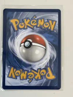 Pokemon TCG Evolving Skies Trainer Raihan 202/203 Full Art Holo Ultra Rare Card - Image 2