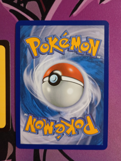 Braviary 214/191 Illustration Rare Surging Sparks Near Mint Card Pokemon TCG - Image 3