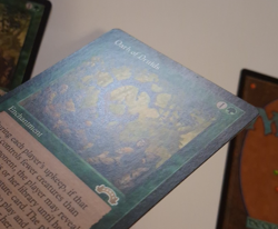 3x Oath of Druids MP Exodus MTG Magic the Gathering - Image 5