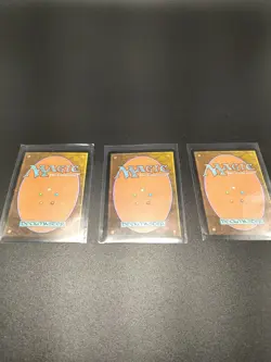 Mtg Plains X3 John Avon Unhinged LP - Image 3