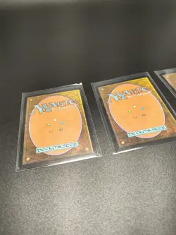 Mtg Plains X3 John Avon Unhinged LP - Image 4