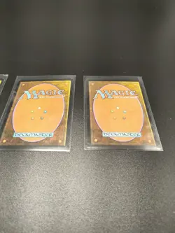 Mtg Plains X3 John Avon Unhinged LP - Image 5