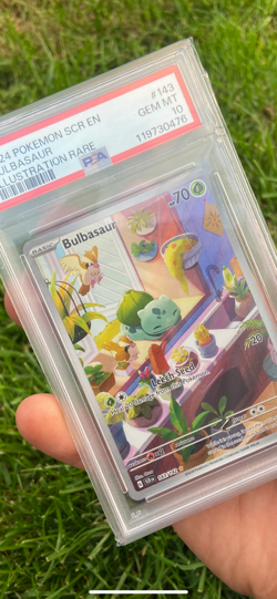 Pokemon Stellar crown Bulbasaur 143/142 illustration rare PSA 10 - Image 3