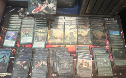Magic the Gathering Secret Lair Dandan Deck - Double Sleeved Free Shipping - Image 1