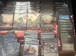 Magic the Gathering Secret Lair Dandan Deck - Double Sleeved Free Shipping - Image 5