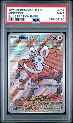2025 Pokemon SV Black Bolt - Minccino #152 - Illustration Rare 152/086 - PSA 9 - Image 1