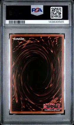 2002 Yu-Gi-Oh! Mammoth Graveyard LOB 1st Edition Common PSA 8 - Image 2