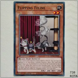 Flipping Feline - ROTA-EN026 - Common 1st Edition Yugioh - Image 1