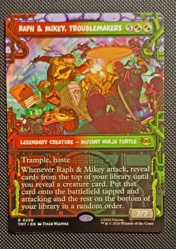 Raph & Mikey, Troublemakers (Showcase) Teenage Mutant Ninja Turtles Regular - Image 1