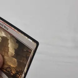 Magic the Gathering Arid Mesa (244) - Normal - Modern Horizons 2 (MH2) Near Mint - Image 3