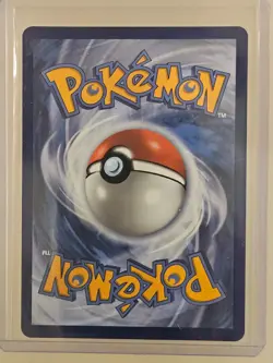 Pokemon Squirtle MEP 039 First Partner Illustration Promo NM - Image 2