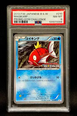 PSA 8 Magikarp 210/BW-P Gym Challenge Promo Japanese POKEMON 2013 - Image 1