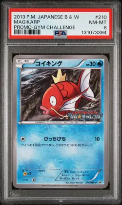 PSA 8 Magikarp 210/BW-P Gym Challenge Promo Japanese POKEMON 2013 - Image 2