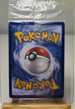 Magikarp XY143 XY Promo Holo SEALD N/M POKEMON ENGLISCH VINTAGE - Image 2